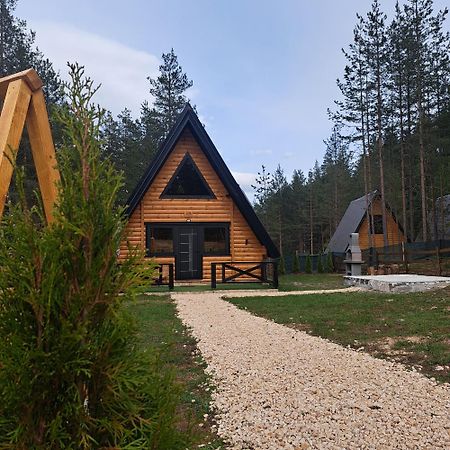 Pine Forest-Black Žabljak Exteriör bild