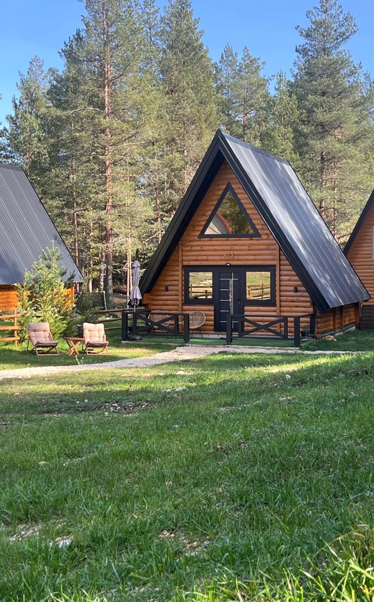 Pine Forest-Black Žabljak Exteriör bild